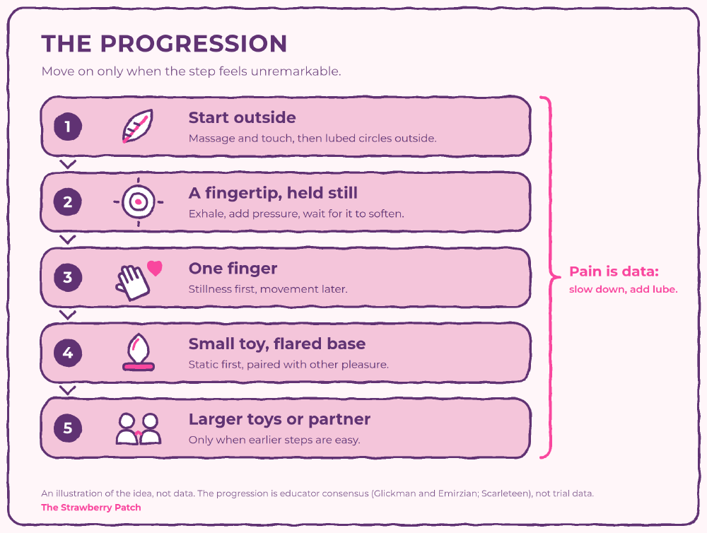 Five numbered steps for anal play, to take only when the previous step feels unremarkable: start outside with massage and touch, then lubed circles at the opening; a fingertip held still; one finger, stillness first and movement later; a small toy with a flared base, static first; larger toys or partnered play once earlier steps are easy. A note says pain is data: slow down and add lube.