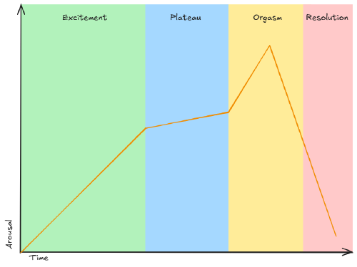 The 4 phase model of the human sexual response cycle