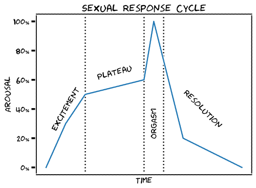 Graph of the four phase sexual response cycle